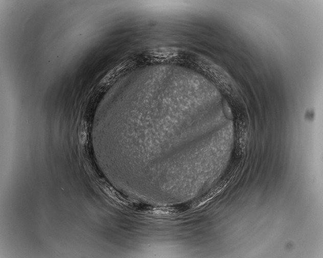 X0000098220758200805081158