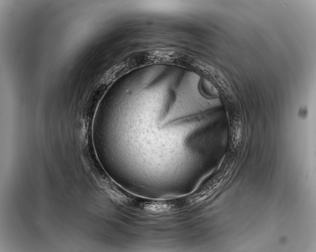 X0000098220759200805081158