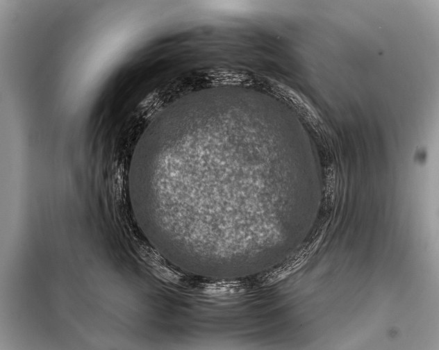 X0000098220761200805081158