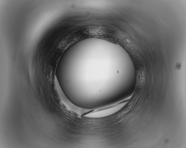 X0000098220762200805081158