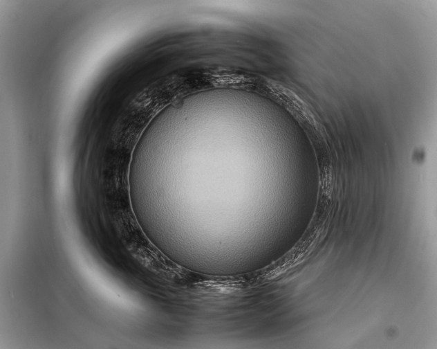 X0000098220763200805081158