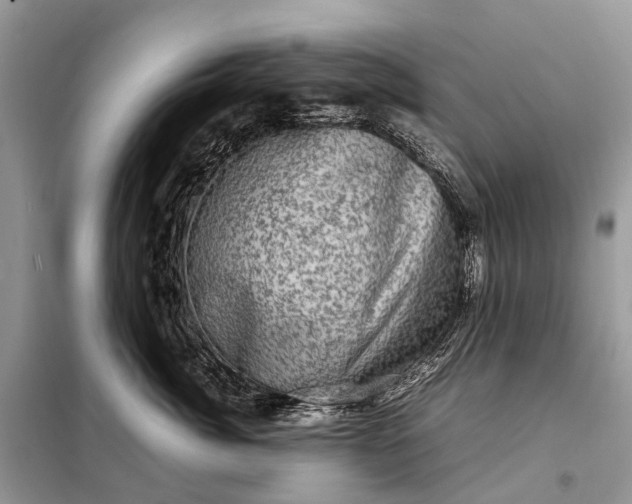 X0000098220764200805081158