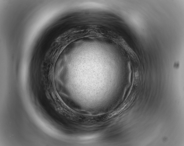 X0000098220765200805081158