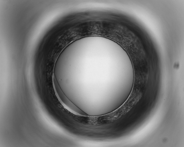 X0000098220766200805081158