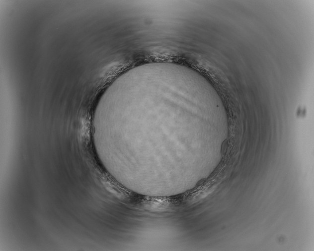 X0000098220768200805081158