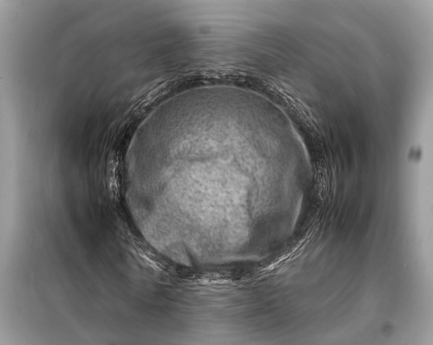 X0000098220770200805081157