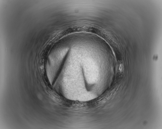 X0000098220771200805081157