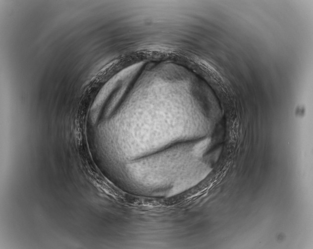 X0000098220774200805081157