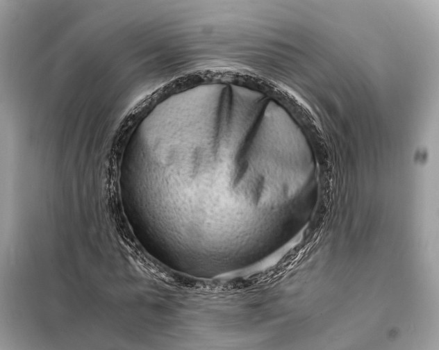 X0000098220775200805081157