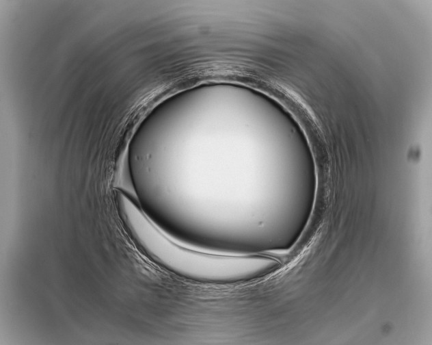 X0000098220777200805081157