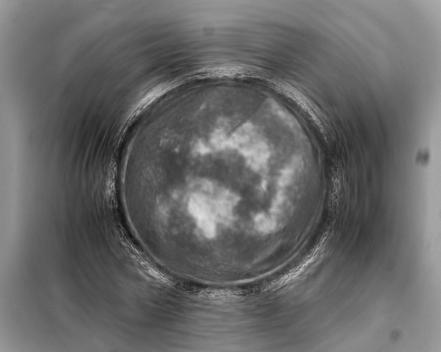 X0000098220778200805081157