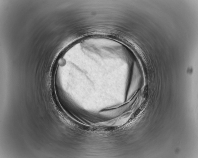 X0000098220779200805081157