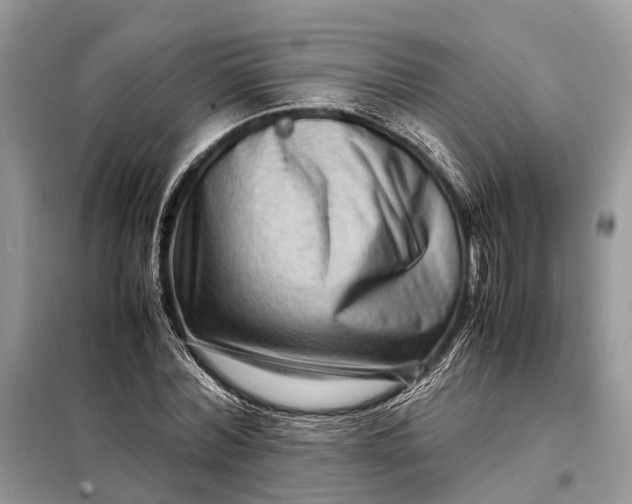 X0000098220780200805081157