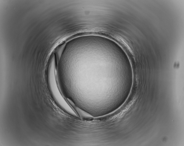 X0000098220781200805081157