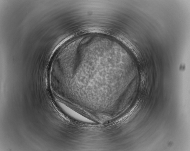 X0000098220782200805081157