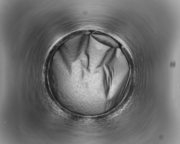 X0000098220783200805081157