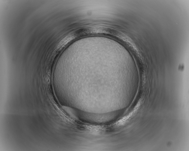 X0000098220785200805081157