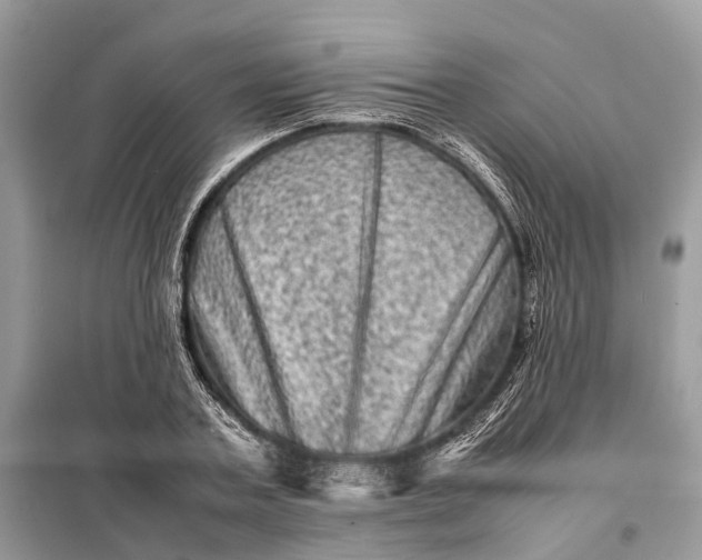 X0000098220787200805081157