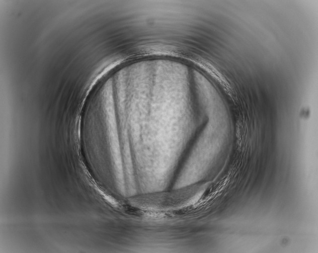 X0000098220790200805081157