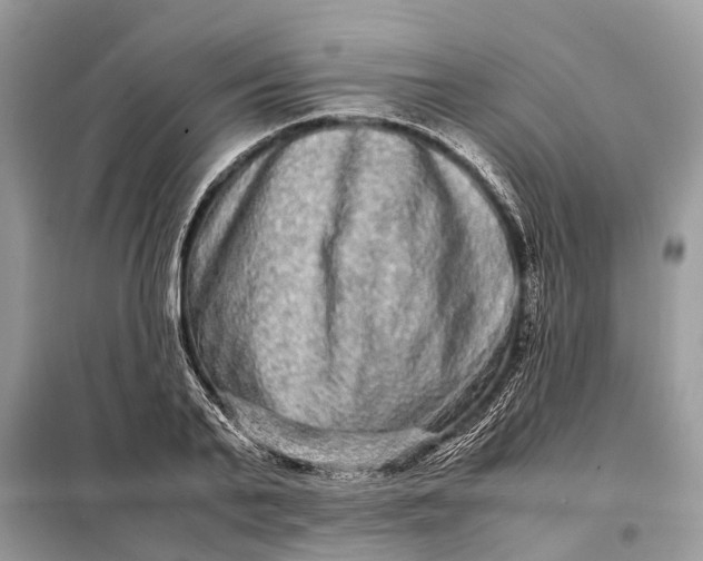 X0000098220791200805081157