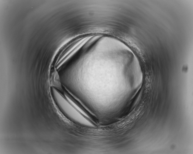 X0000098220792200805081157