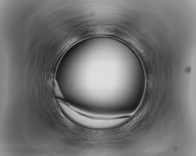 X0000098220793200805081157