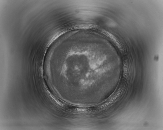 X0000098220794200805081157