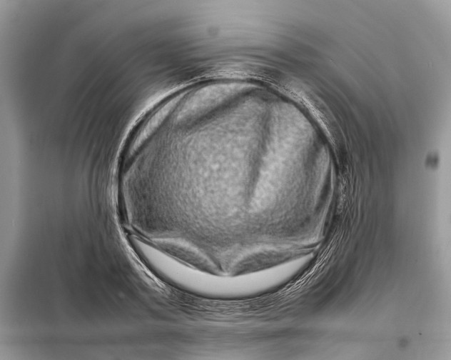 X0000098220795200805081157