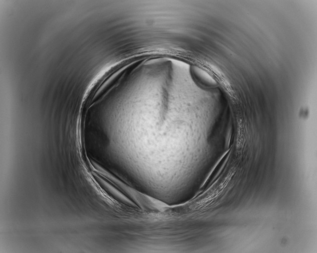 X0000098220796200805081157