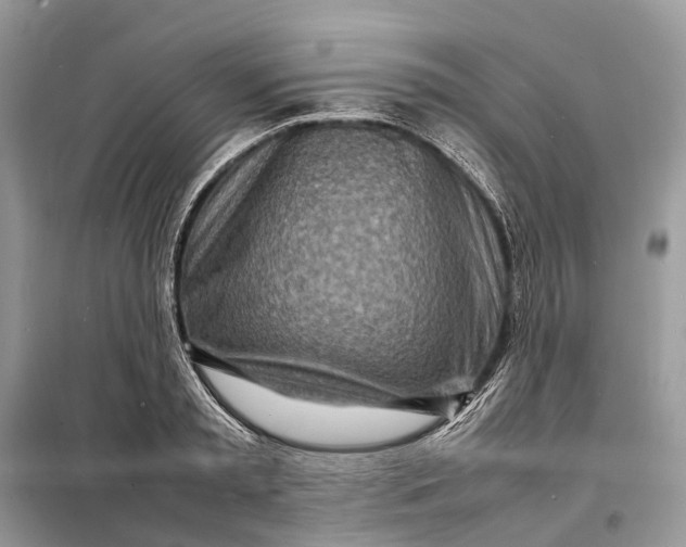 X0000098220797200805081157