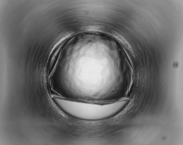 X0000098220798200805081157