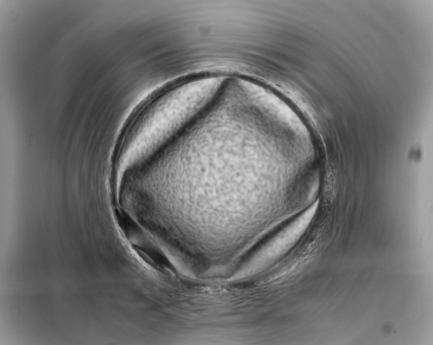 X0000098220799200805081157