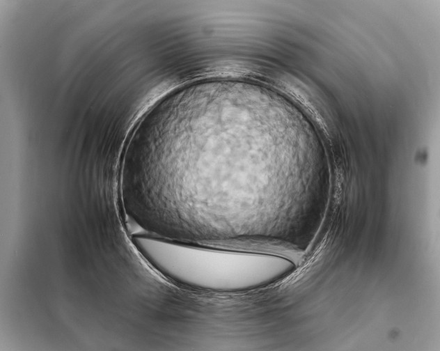 X0000098220802200805081157