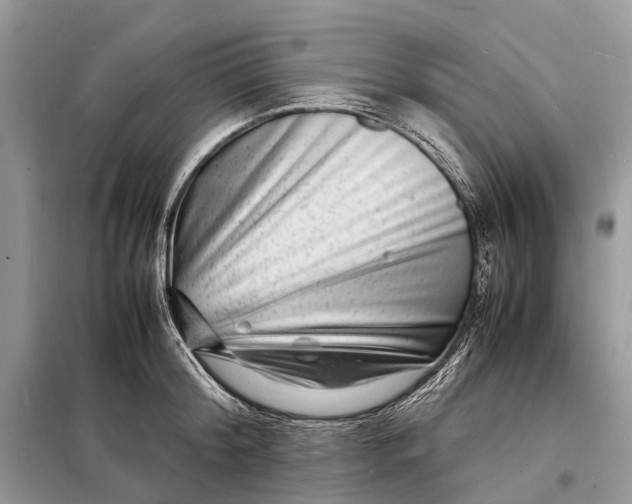 X0000098220804200805081157