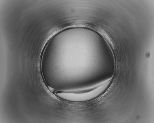 X0000098220805200805081157