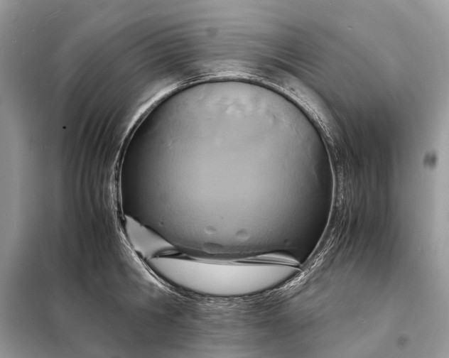 X0000098220806200805081157