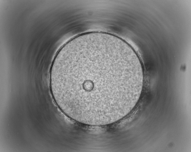 X0000098220807200805081157