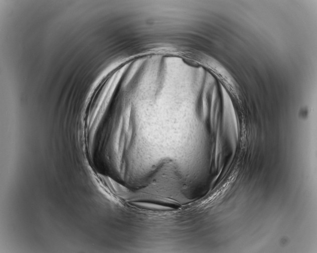 X0000098220808200805081157