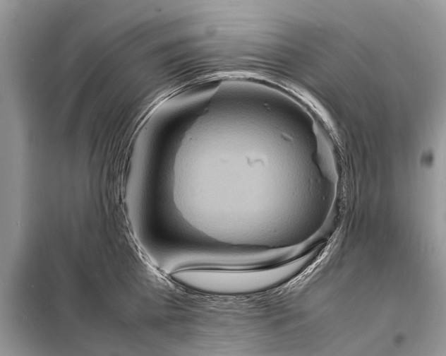 X0000098220809200805081157