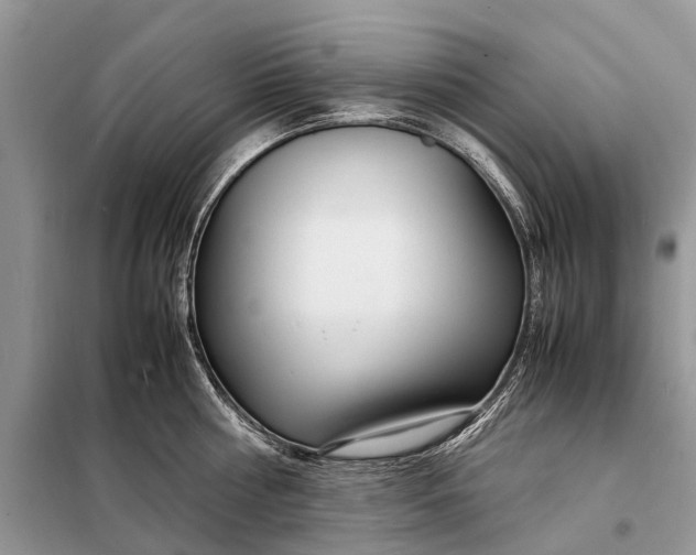 X0000098220810200805081157