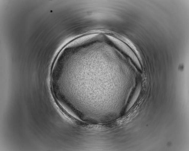 X0000098220811200805081157