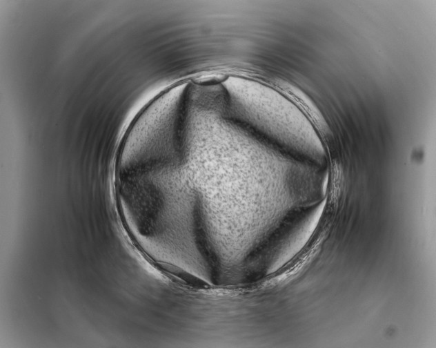 X0000098220812200805081157