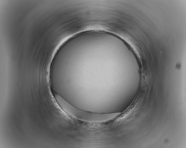 X0000098220815200805081157