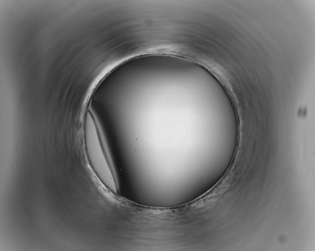 X0000098220816200805081157