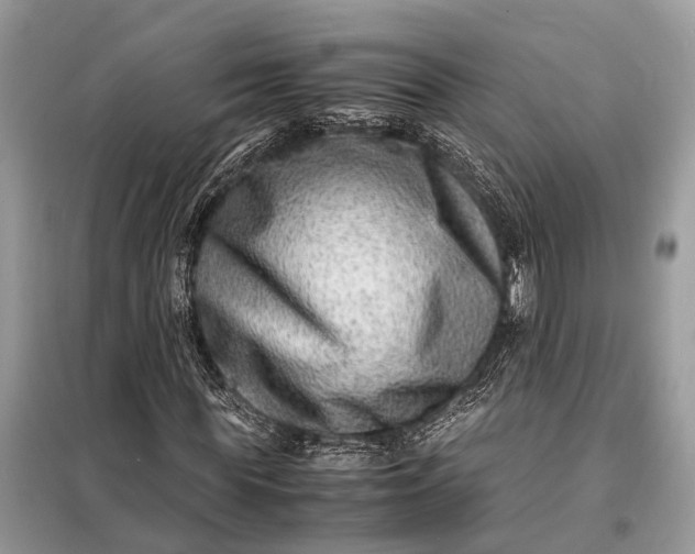 X0000098220819200805081156