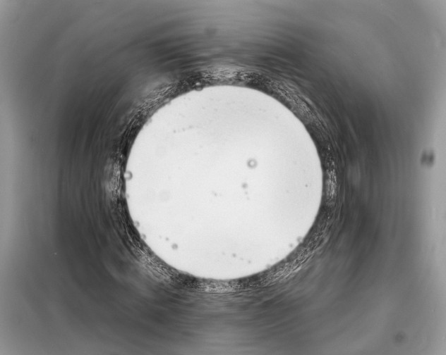 X0000098220820200805081156