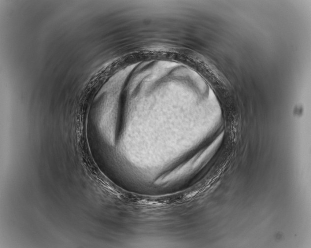 X0000098220821200805081156