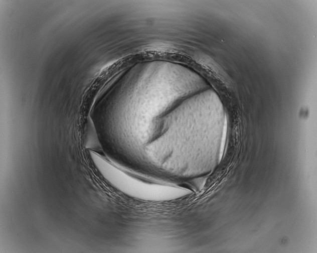 X0000098220822200805081156