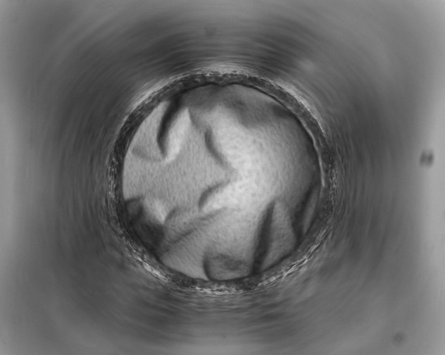 X0000098220823200805081156