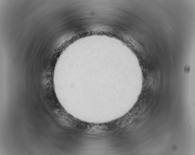 X0000098220824200805081156